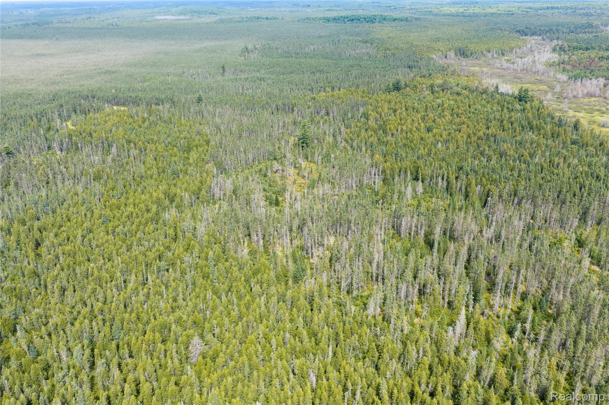 23 Camp 23 Road Germfask, MI 49836 - Photo 13 of 18 13.jpg