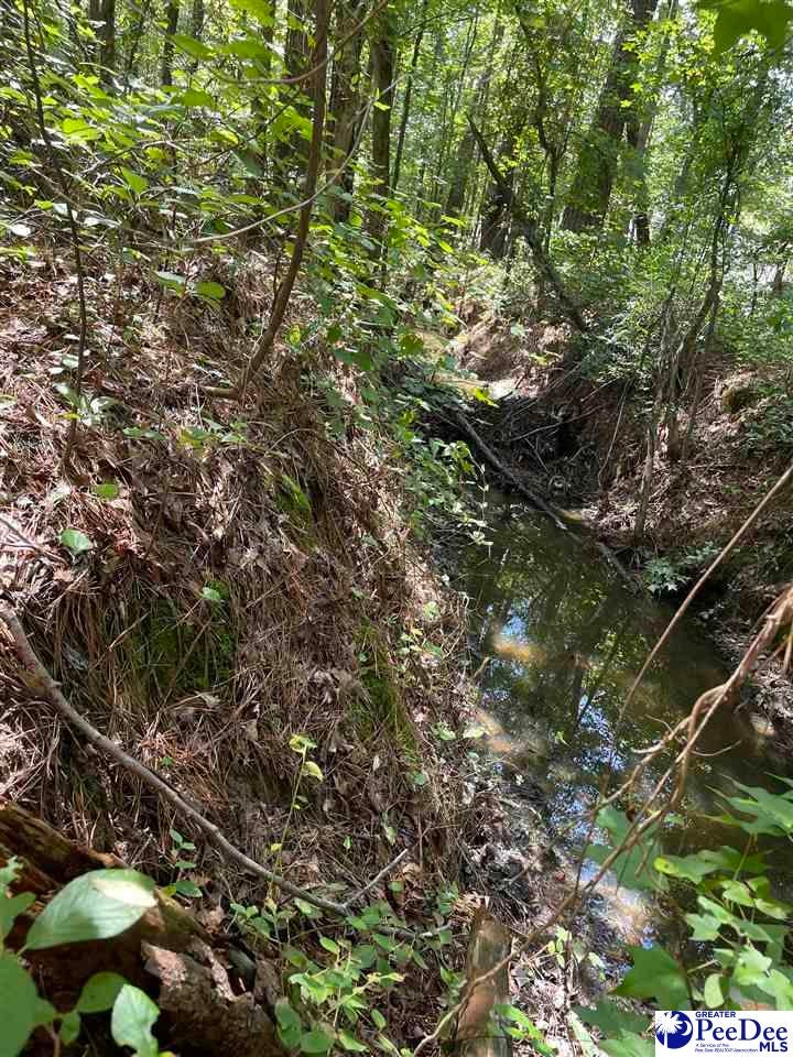 0 Twin Church Road Timmonsville, SC 29161 - Photo 10 of 20 Gallery Image 10
