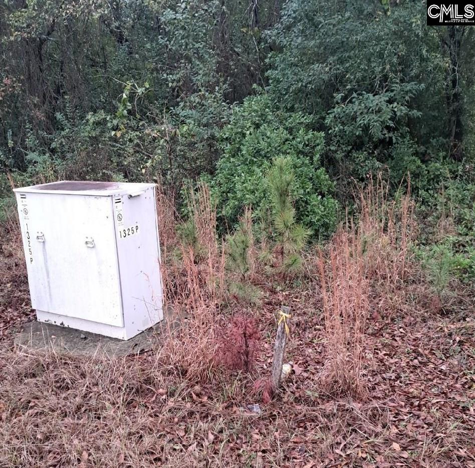 0 Popular Street, Unit LOT 1 Cayce, SC 29033 - Photo 5 of 8