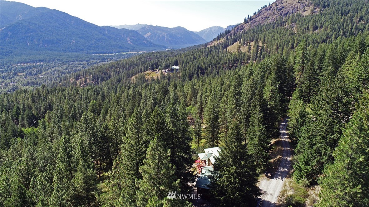 41 Trillium Road Winthrop, WA 98862 - Photo 6 of 39 a view of a lush green forest with a mountain