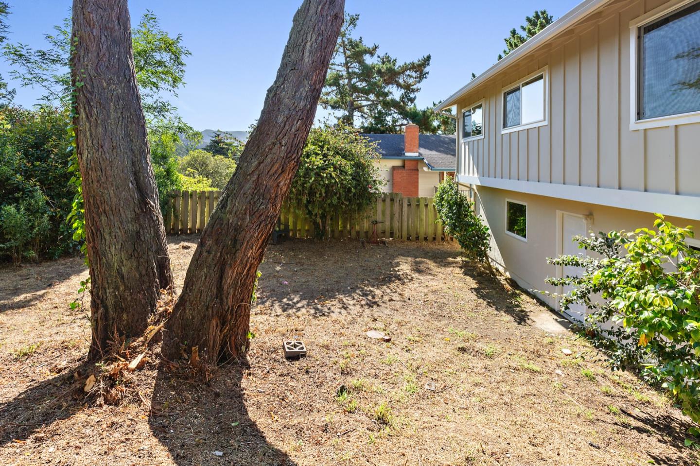 1528 Terra Nova Boulevard Pacifica, CA 94044 - Photo 32 of 32 a view of a backyard with a large tree