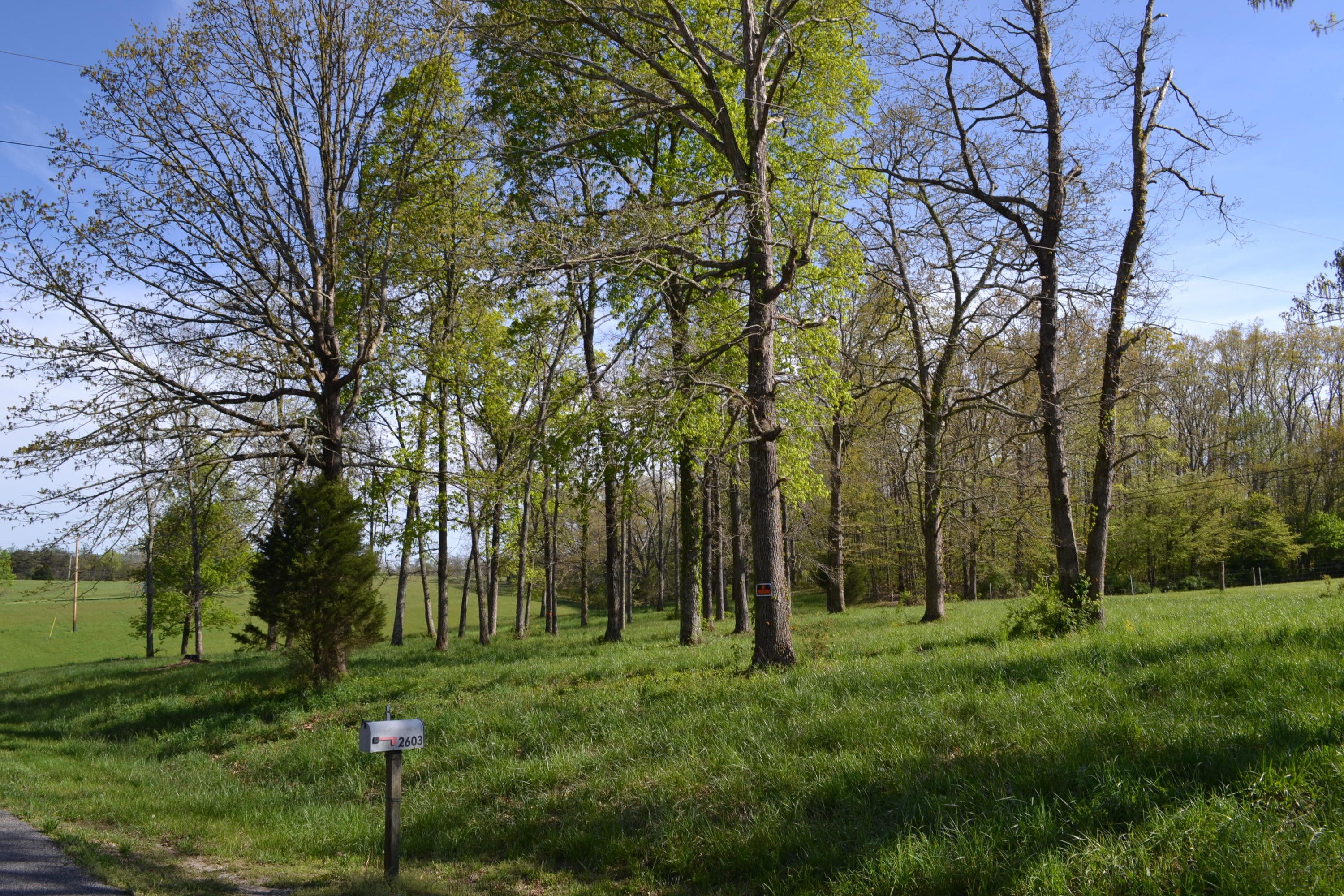 2752 Clint Lowe Road Crossville, TN 38572 - Photo 12 of 24 13 Some hardwoods