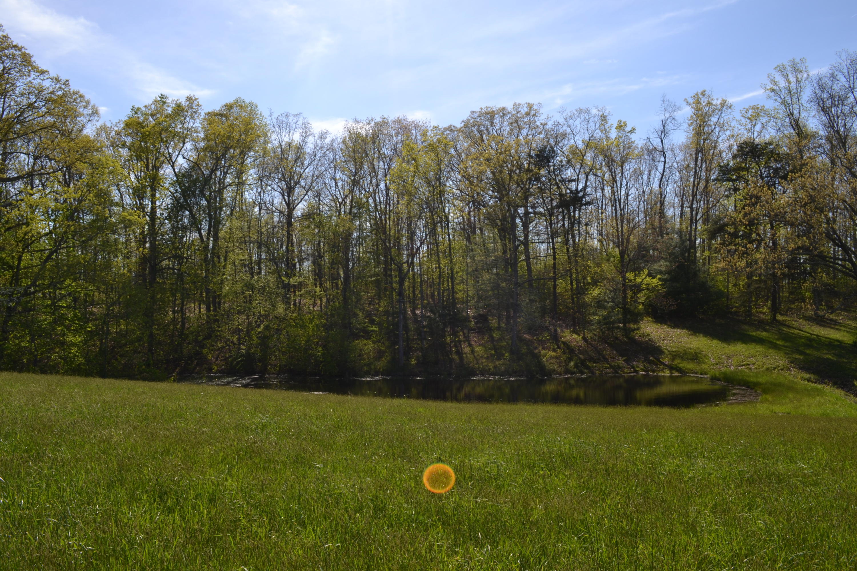 2752 Clint Lowe Road Crossville, TN 38572 - Photo 13 of 24 14 Pond