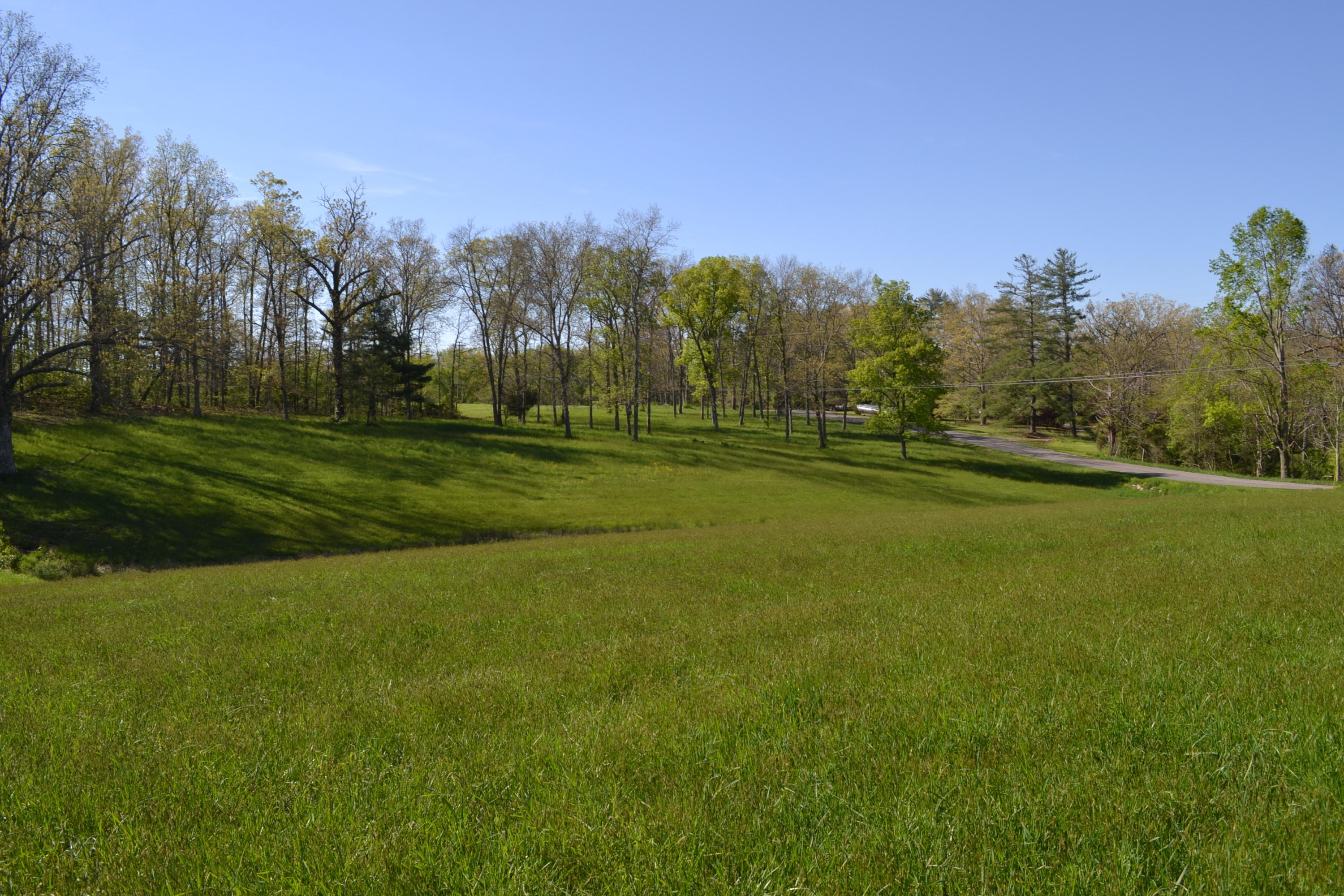 2752 Clint Lowe Road Crossville, TN 38572 - Photo 14 of 24 15 Pond