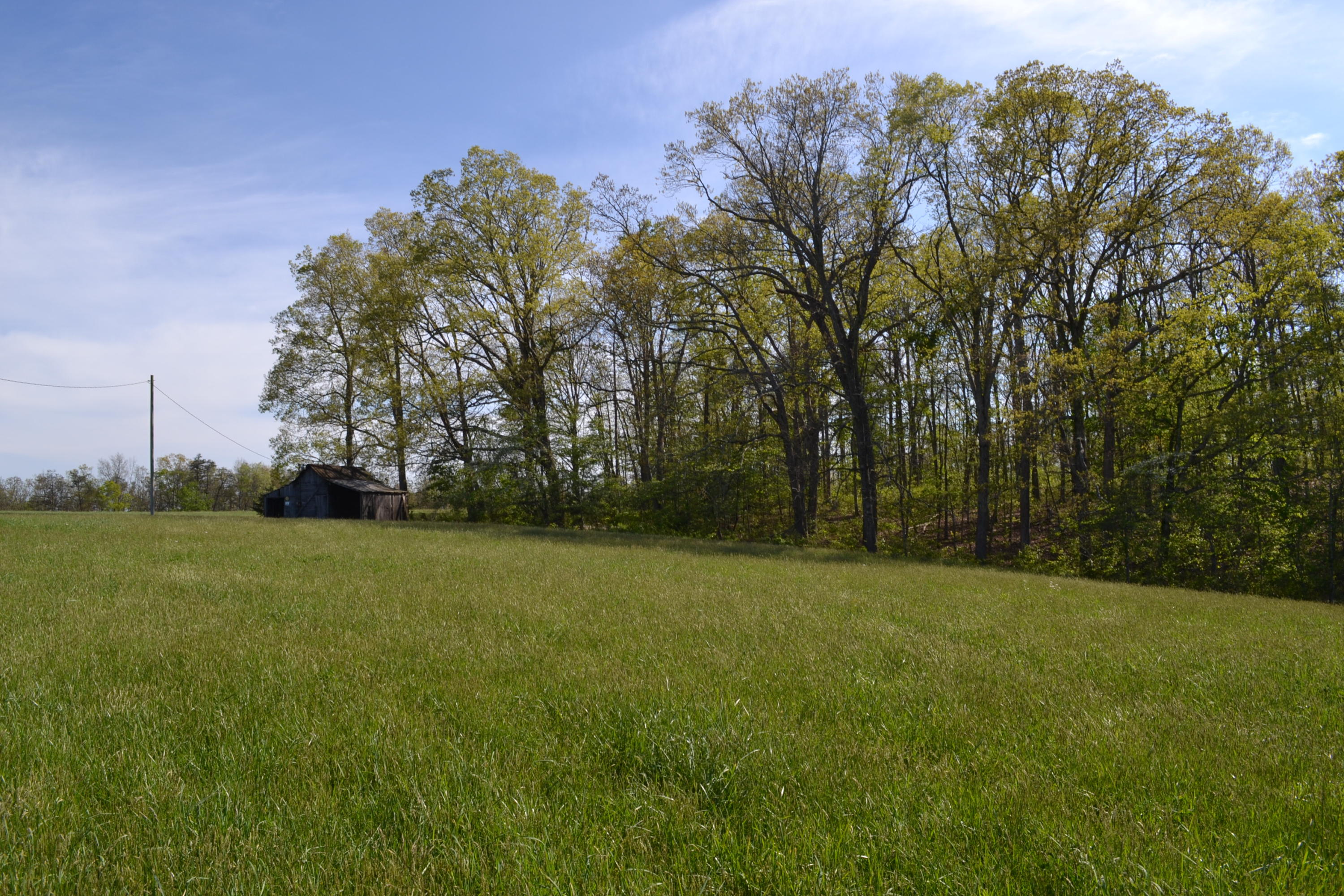 2752 Clint Lowe Road Crossville, TN 38572 - Photo 15 of 24 16 Field, utility building