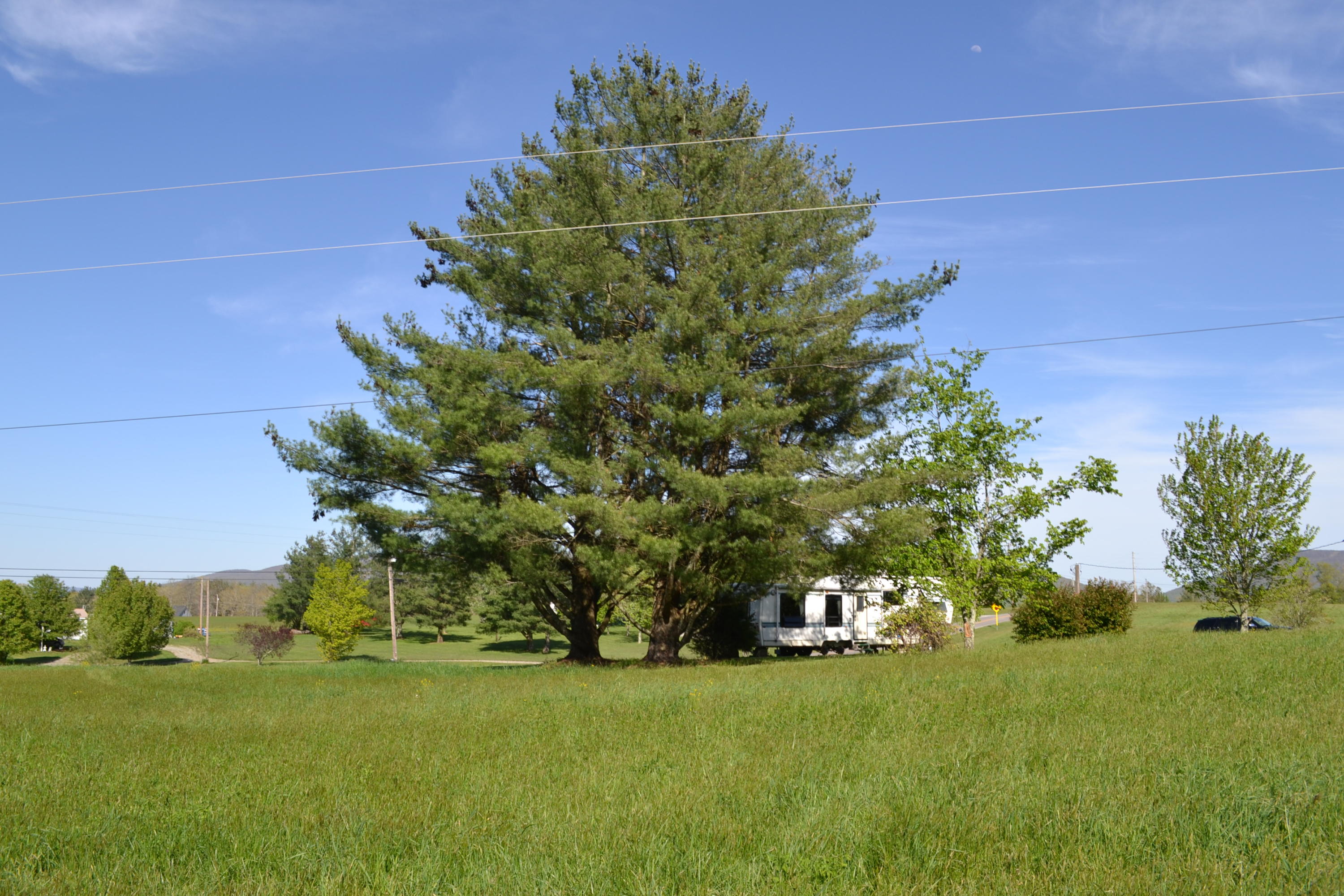 2752 Clint Lowe Road Crossville, TN 38572 - Photo 16 of 24 17 RV