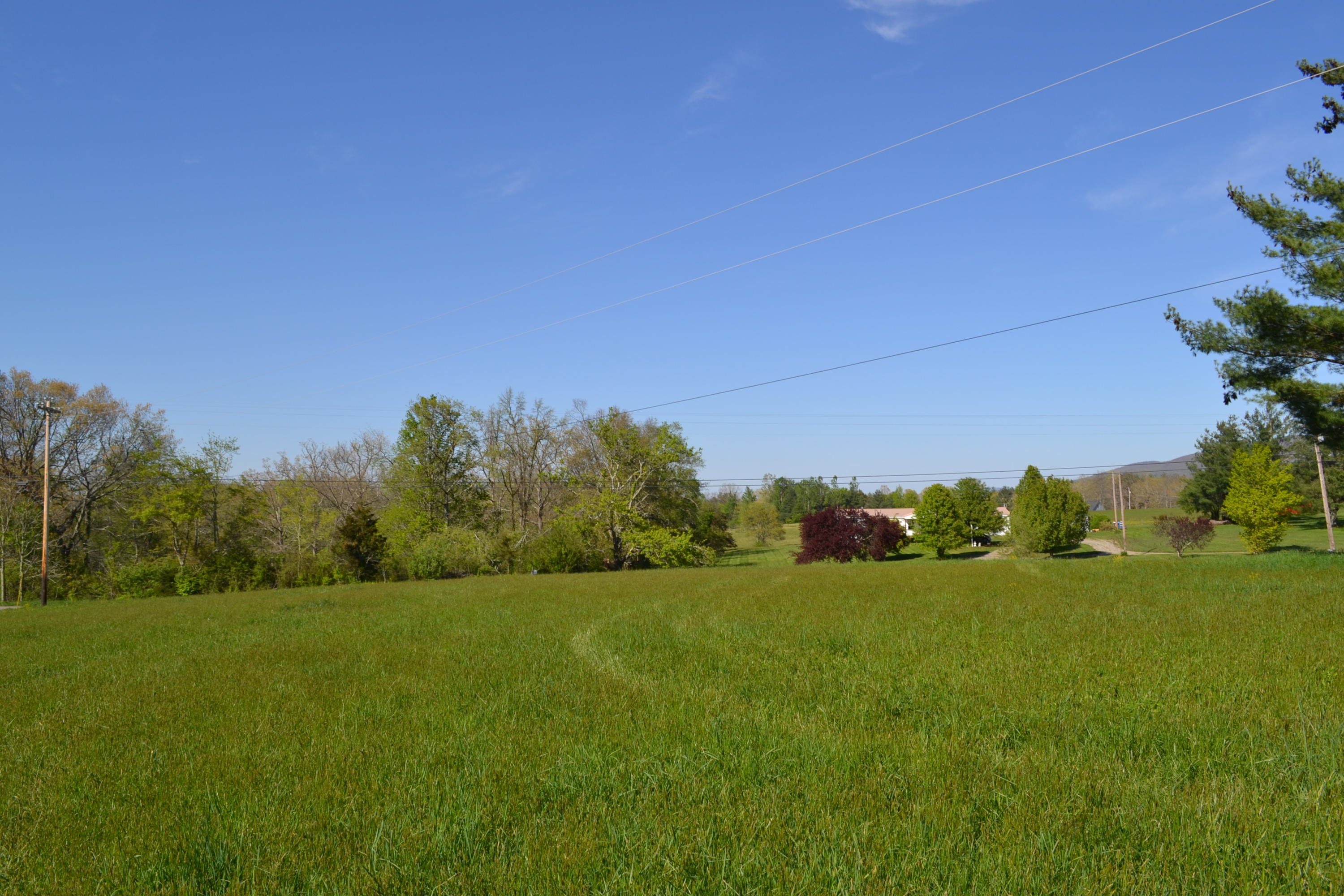 2752 Clint Lowe Road Crossville, TN 38572 - Photo 17 of 24 18 Field