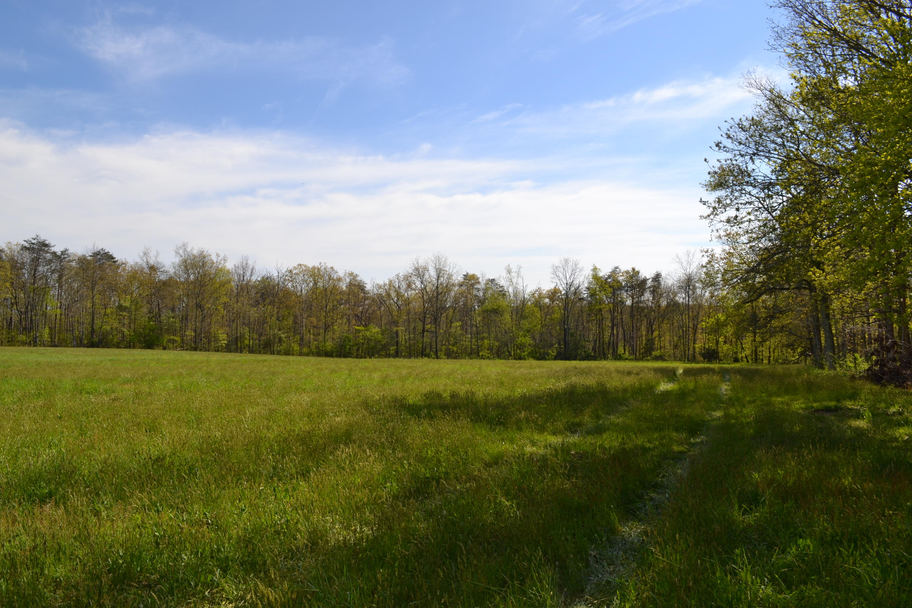 2752 Clint Lowe Road Crossville, TN 38572 - Photo 3 of 24 4 Field