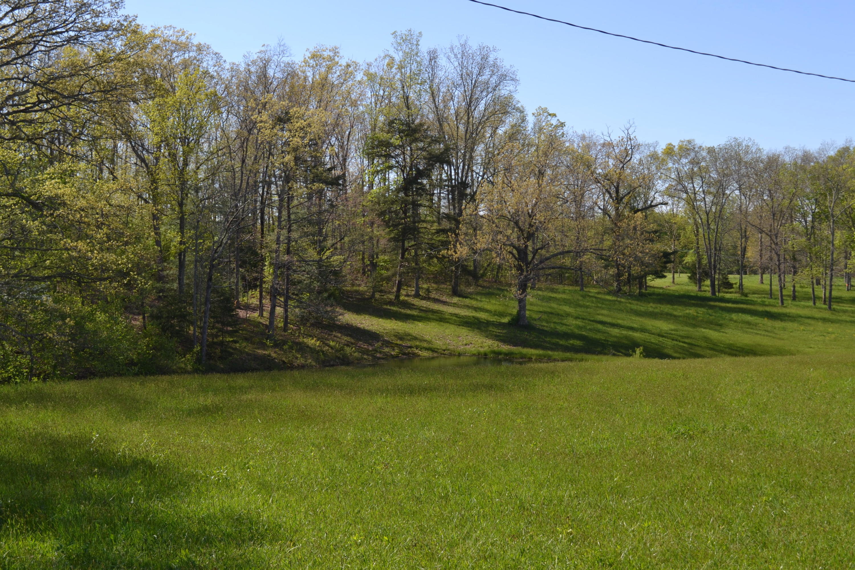 2752 Clint Lowe Road Crossville, TN 38572 - Photo 7 of 24 8 Pond