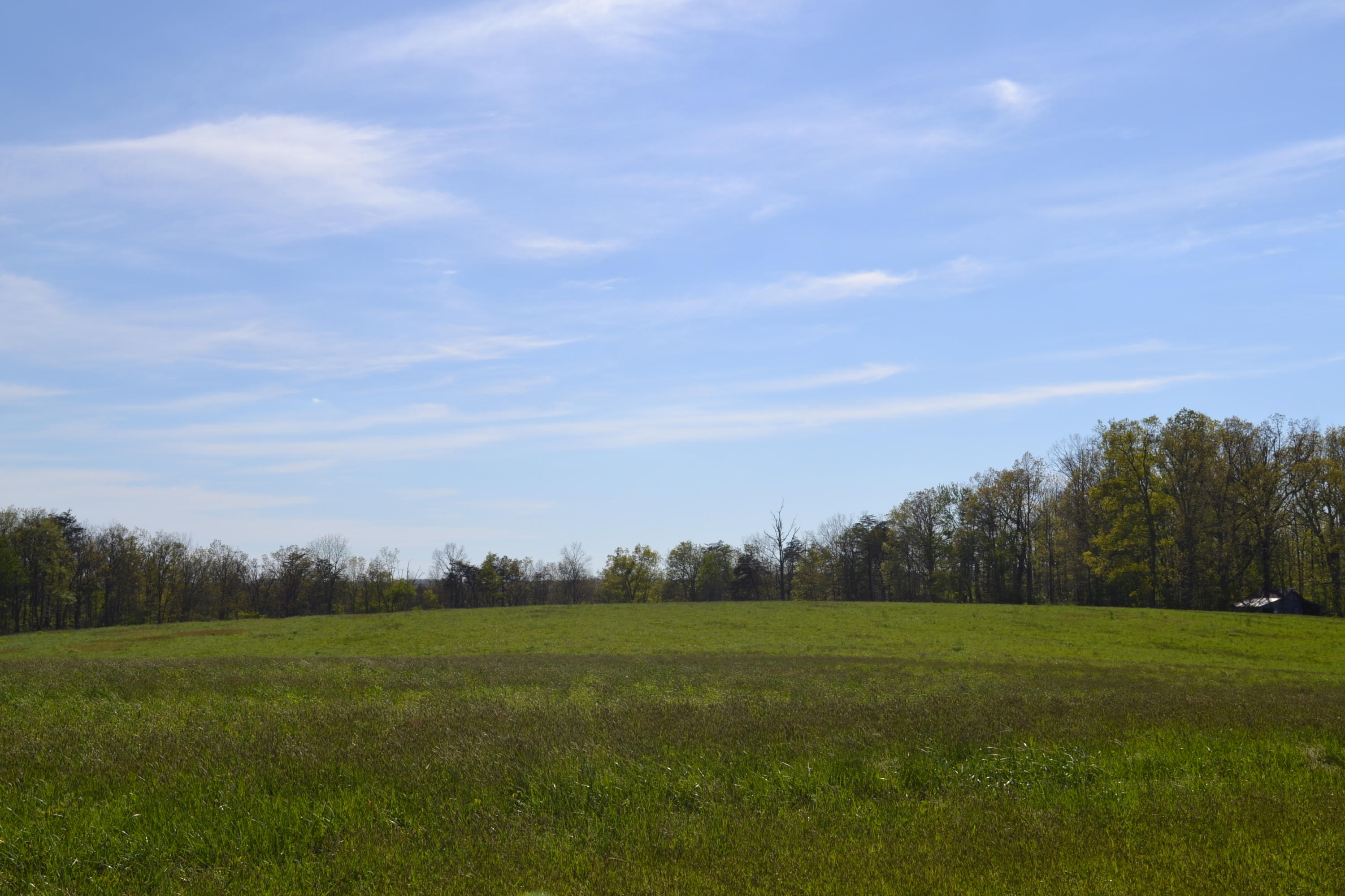 2752 Clint Lowe Road Crossville, TN 38572 - Photo 8 of 24 9 Pasture