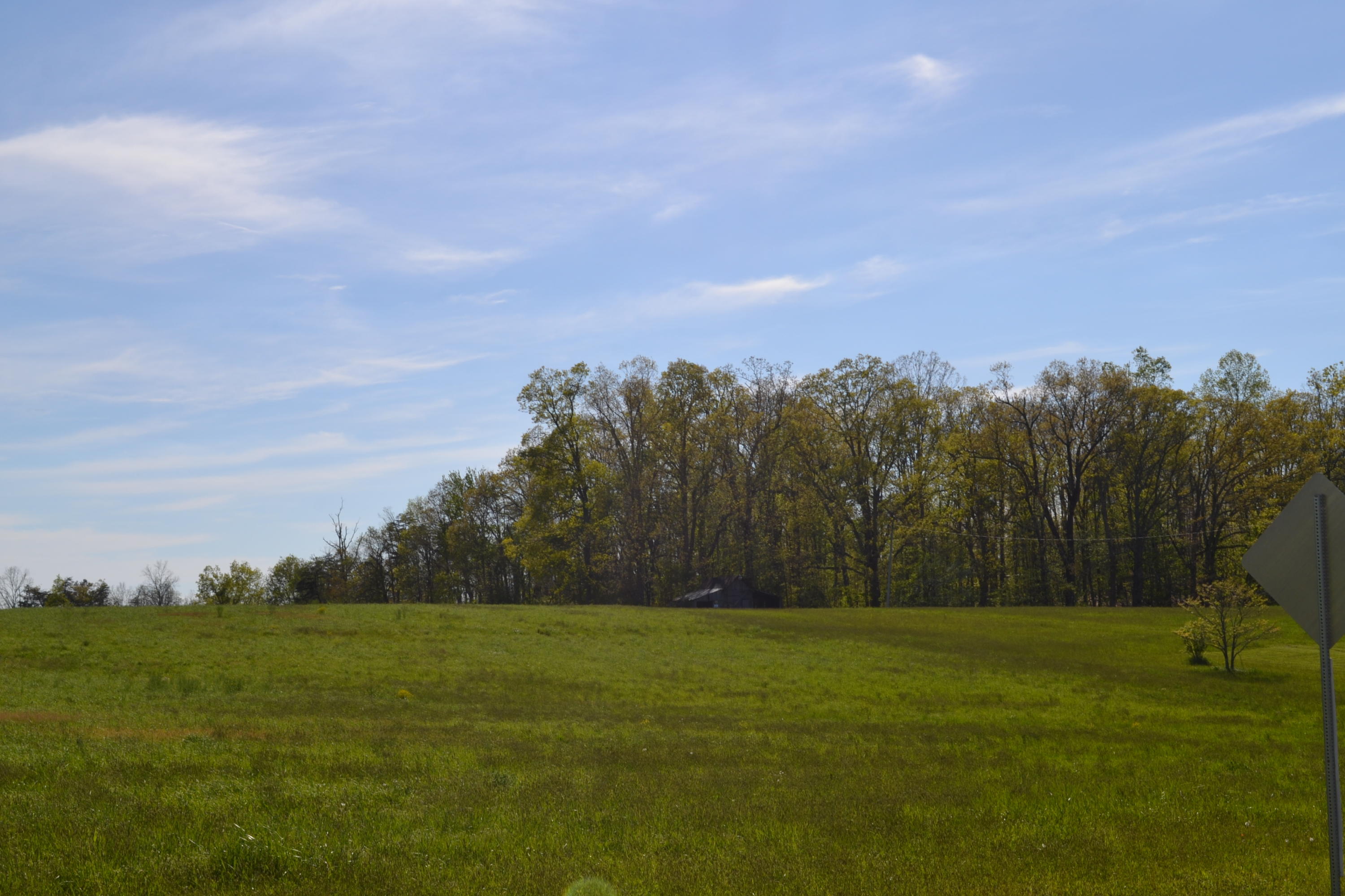 2752 Clint Lowe Road Crossville, TN 38572 - Photo 9 of 24 10 Pasture