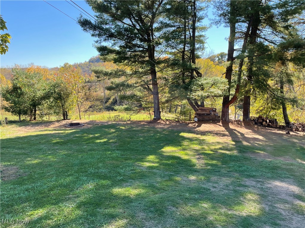 54738 Cove Road Powhatan Point, OH 43942 - Photo 17 of 33 View of yard