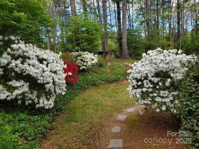 a view of a tree in front of a house