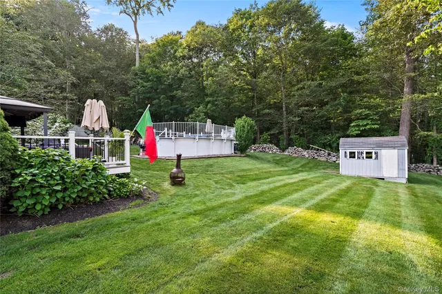 a view of a patio with table and chairs potted plants and a palm tree