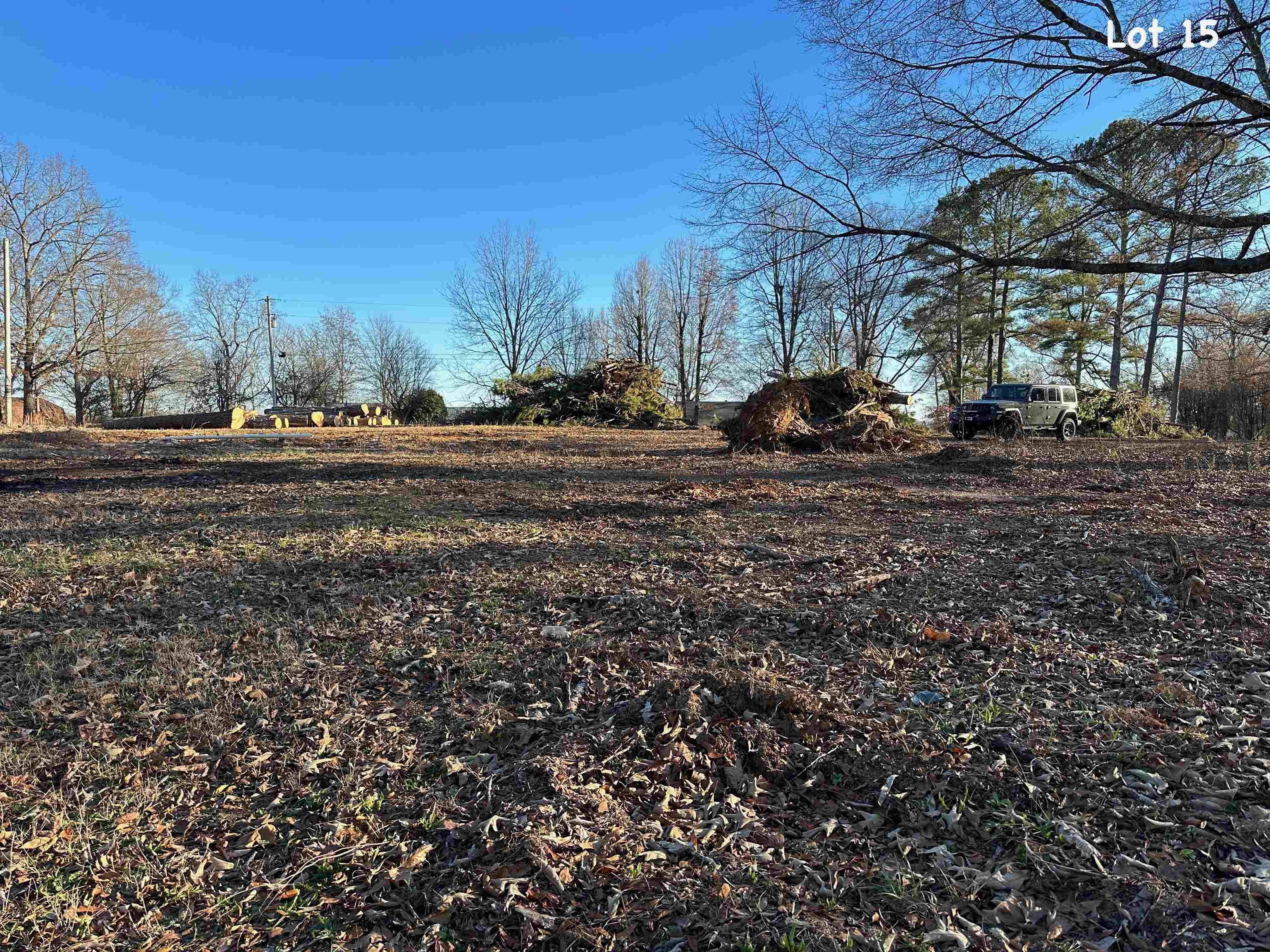 570 Riverside Lane Crump, TN 38327 - Photo 2 of 9 Gallery Image 2