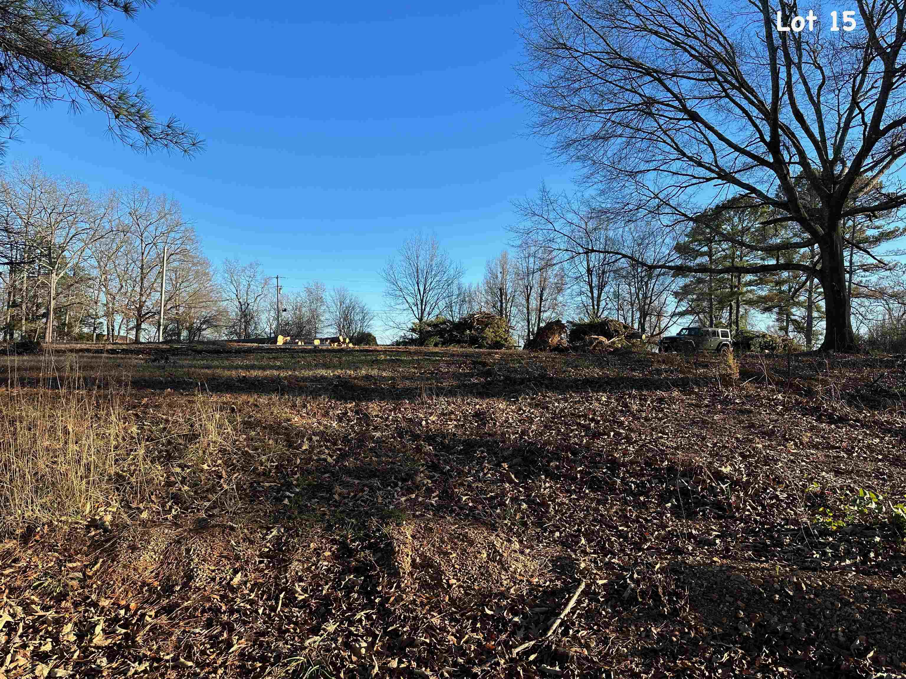 570 Riverside Lane Crump, TN 38327 - Photo 4 of 9 Gallery Image 4
