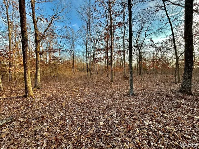 $195,000 | 1 Highway Cc Salem Mo 65560, Salem, MO 65560