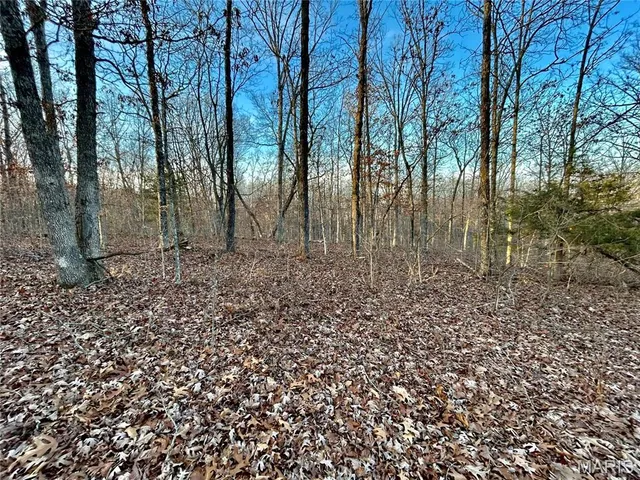 $195,000 | 1 Highway Cc Salem Mo 65560, Salem, MO 65560