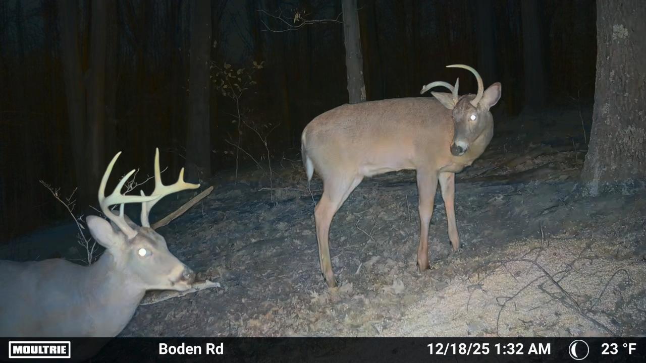 0 Boden Road Cambridge, OH 43725 - Photo 99 of 102 Temp_2998566-20251218063336-pir_20251218