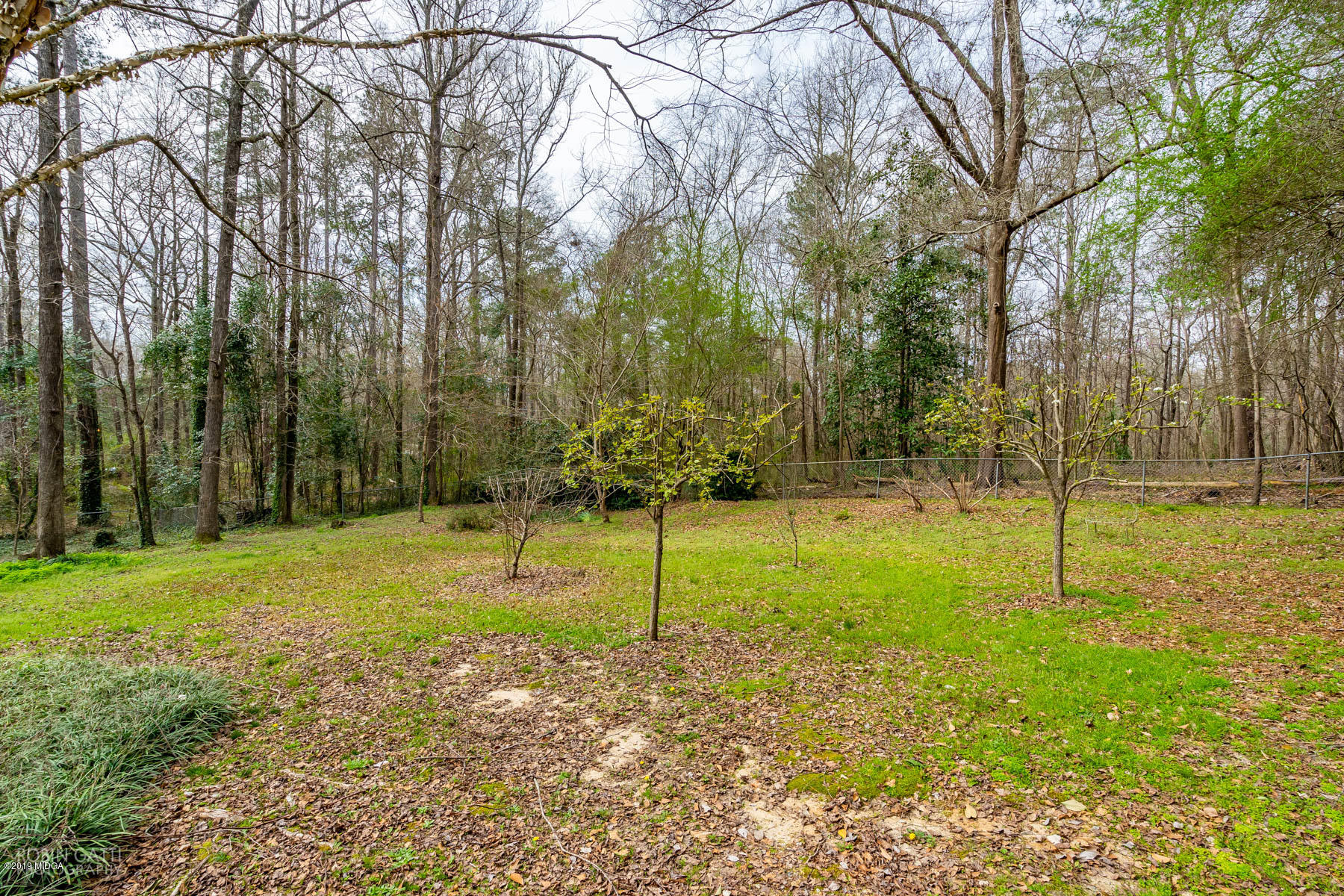 2043 Graham Road Macon, GA 31211 - Photo 26 of 30 DSC07612