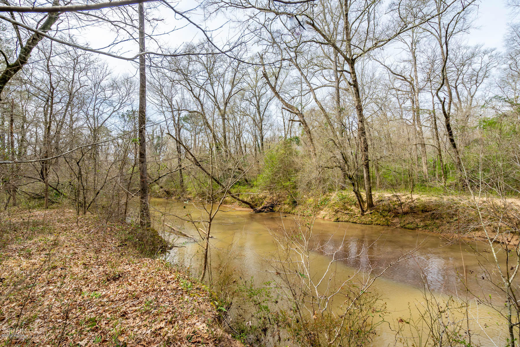 2043 Graham Road Macon, GA 31211 - Photo 27 of 30 DSC07613