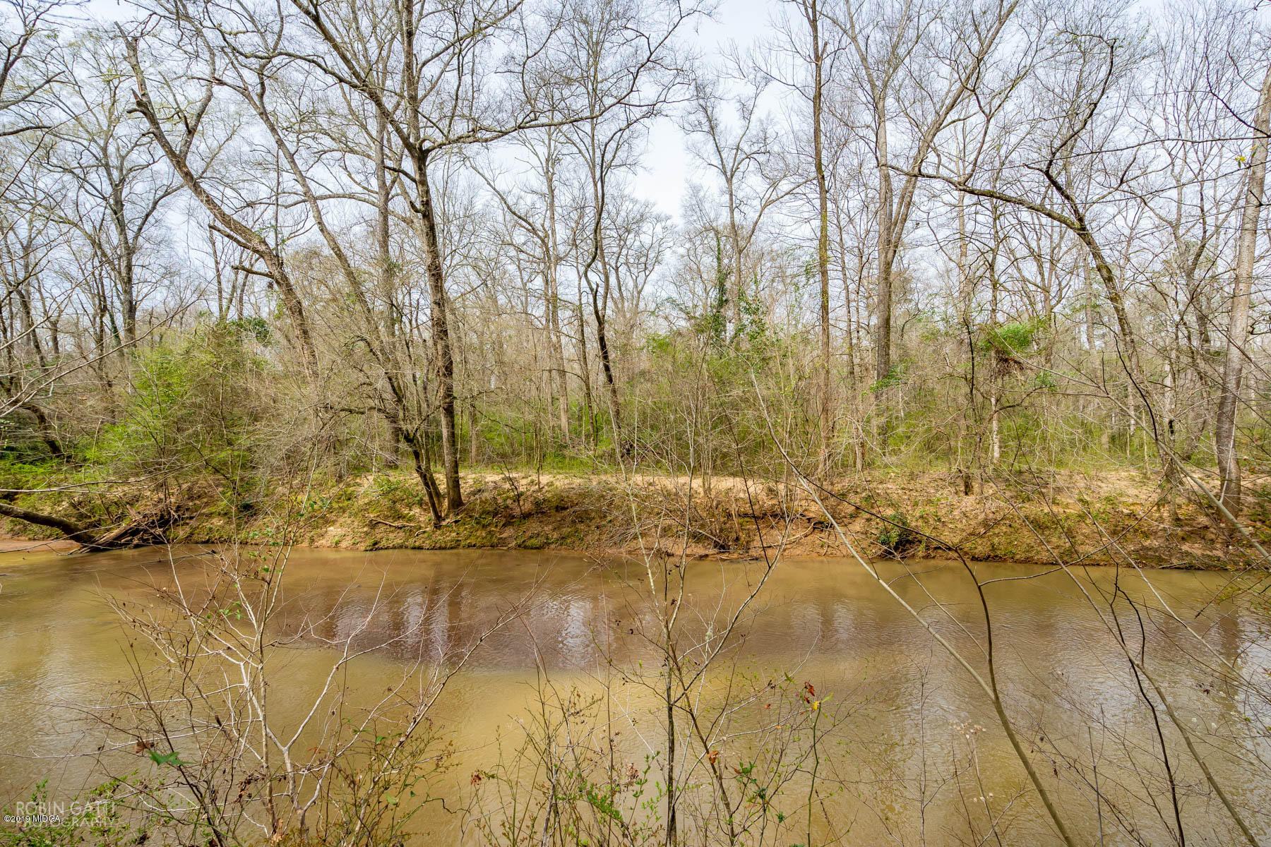 2043 Graham Road Macon, GA 31211 - Photo 28 of 30 DSC07614