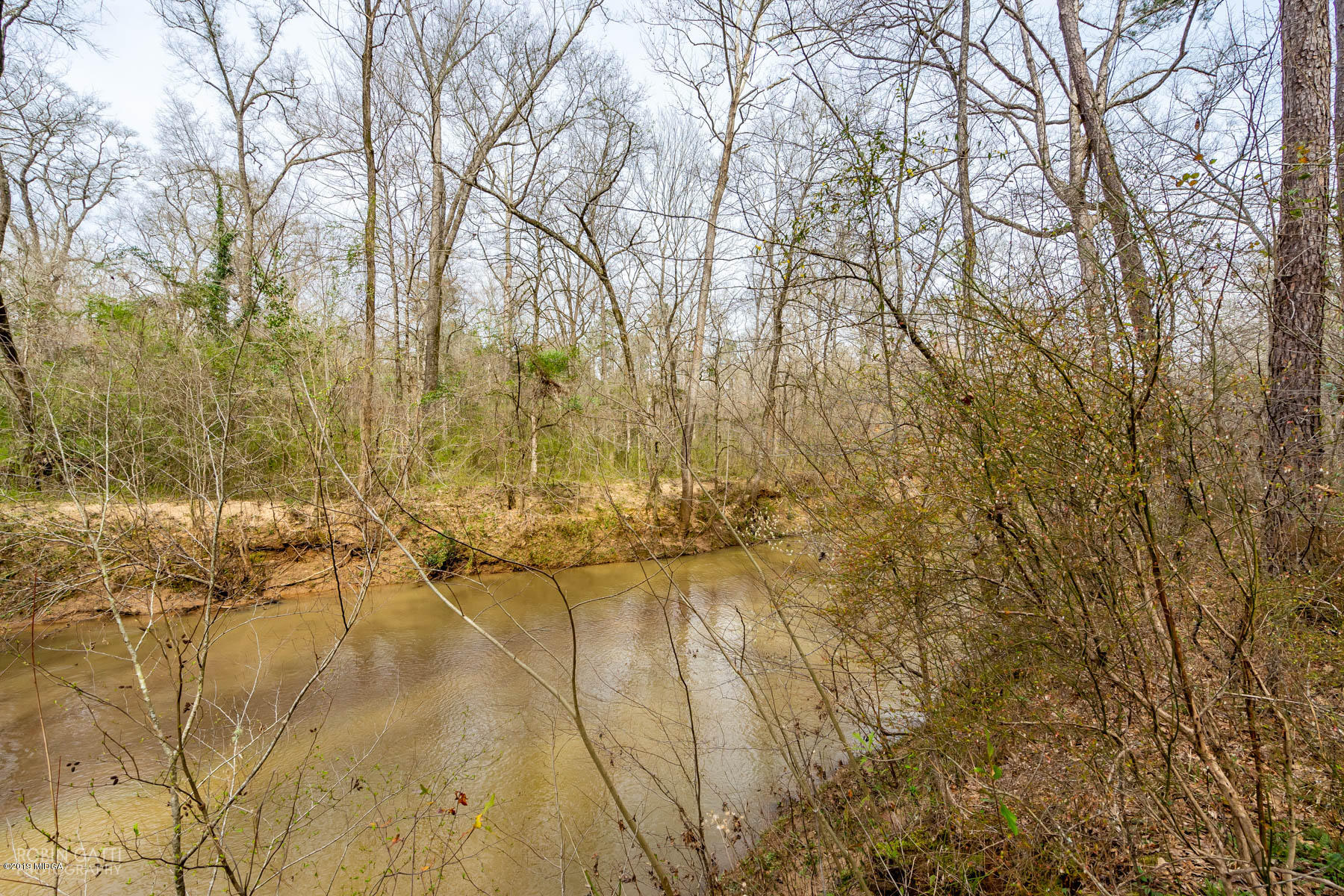 2043 Graham Road Macon, GA 31211 - Photo 29 of 30 DSC07615