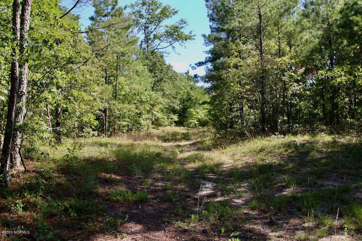 8915 River Road Vanceboro, NC 28586 - Photo 34 of 51 IMG_7694