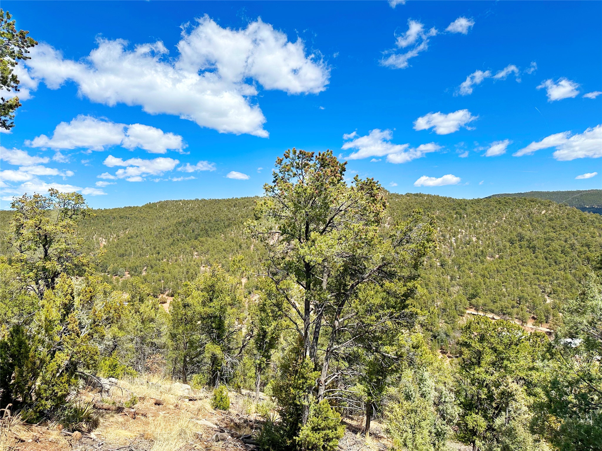 53 County Rd B44C Pecos, NM 87552 - Photo 40 of 51