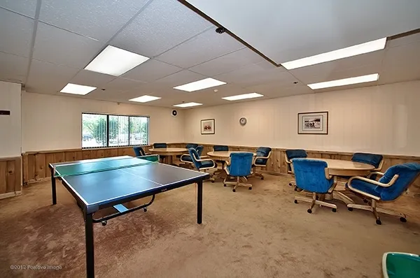 $1,950 | 6340 Americana Drive, Unit 1019, Willowbrook, IL 60527