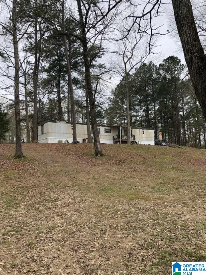 3982 River Ranch Road Ragland, AL 35131 - Photo 13 of 14