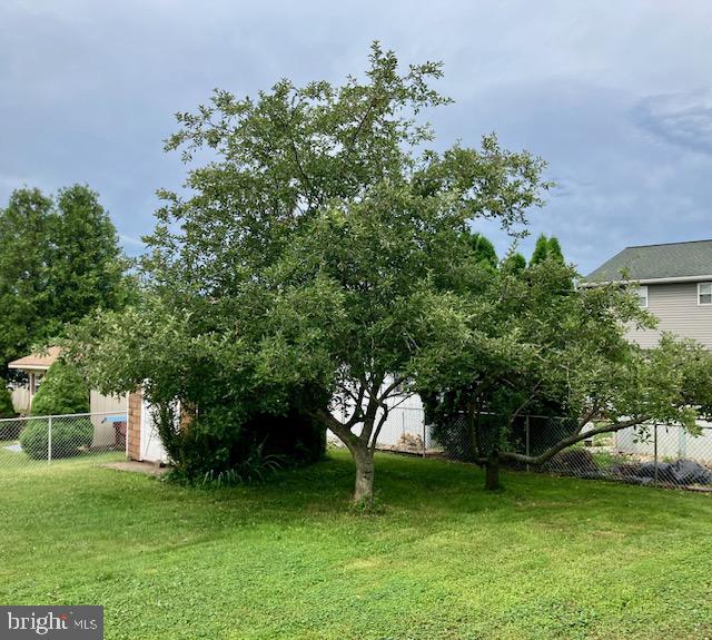 720 Lorane Road Reading, PA 19606 - Photo 10 of 10 Apple Trees for a Tasty Pie