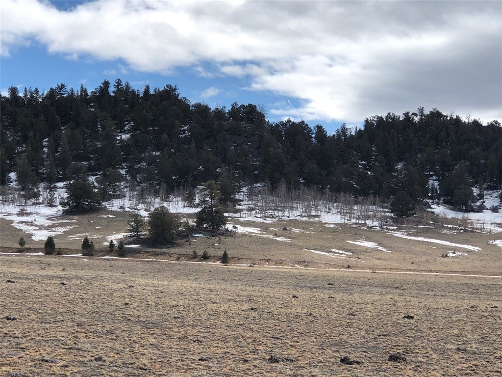 1116 Garfield Road Hartsel, CO 80449 - Photo 6 of 11 Gallery Image 6