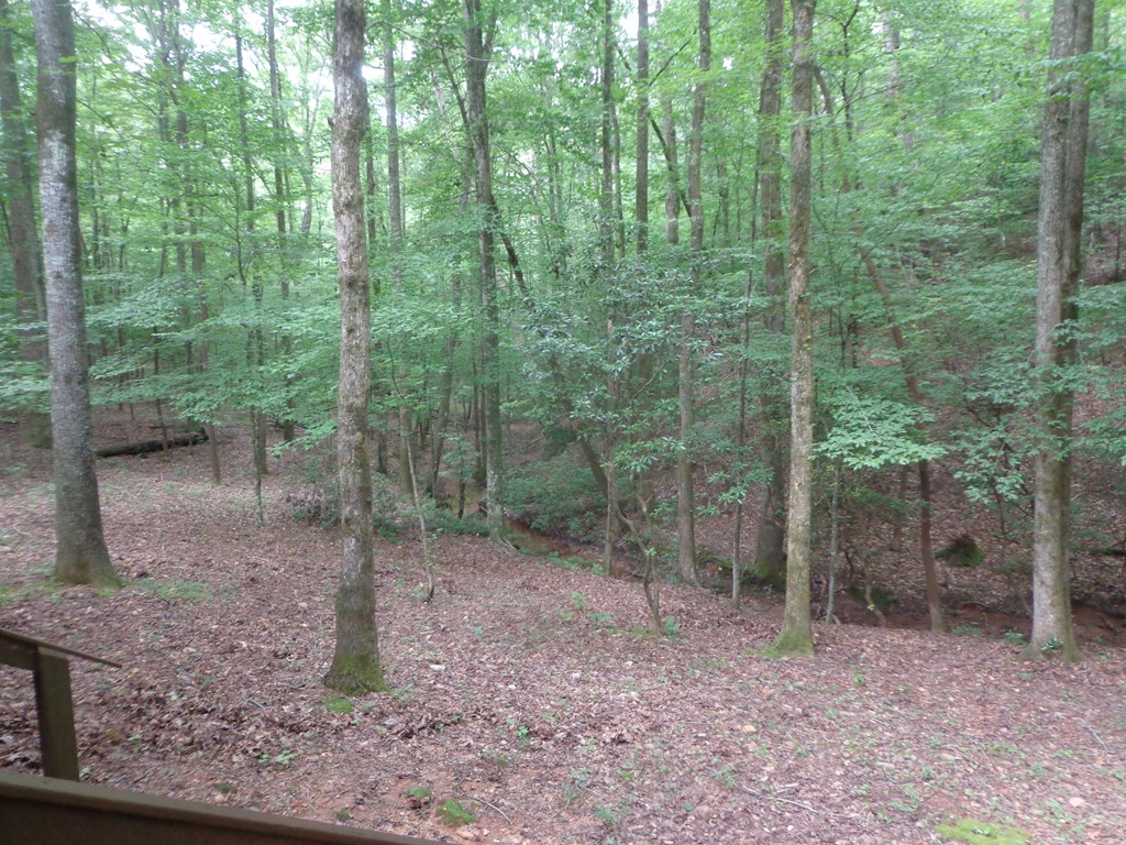 9547 Big Creek Road Ellijay, GA 30536 - Photo 46 of 81 Gallery Image 46