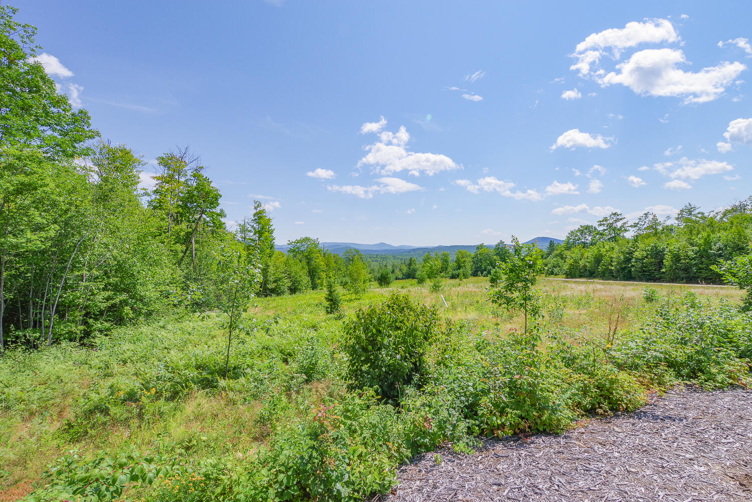 Tbd Daisy Bryant Road Bethel, ME 04217 - Photo 24 of 28 Locke Mtn Rd Bethel 24-(ZF-9778-14346-1-