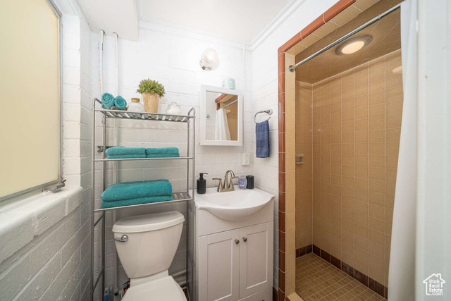 52 South Main Street Paris, ID 83261 - Photo 11 of 27 Bathroom featuring vanity, a shower stall, and ornamental molding