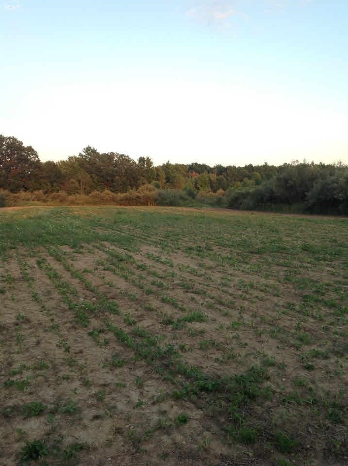0 Nettney Capac, MI 48014 - Photo 30 of 32