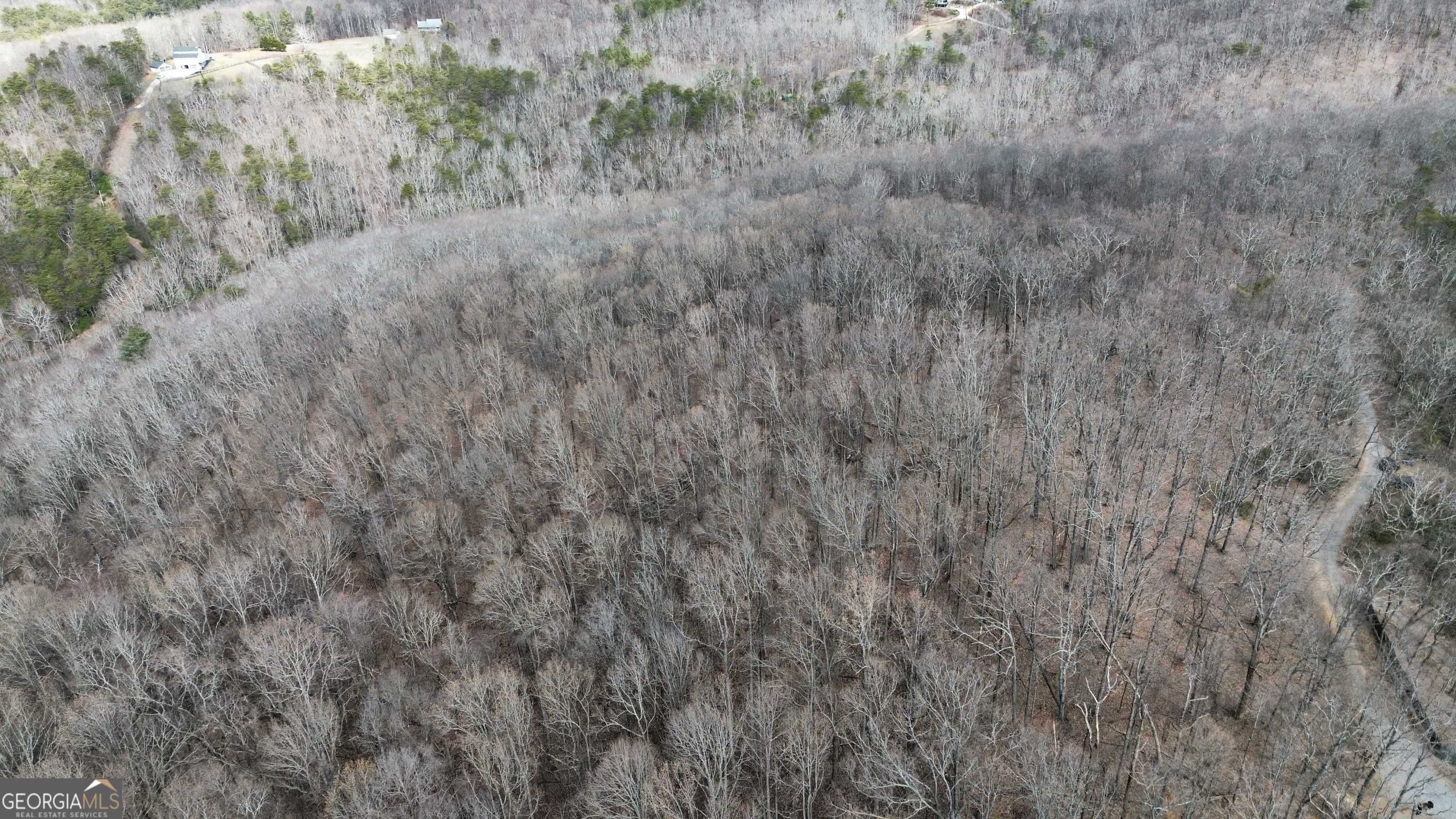 0 Clearview Drive Talking Rock, GA 30175 - Photo 4 of 8 a view of a dry yard