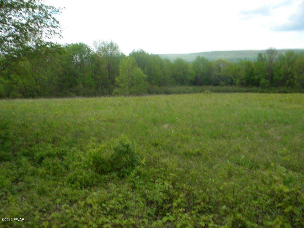 Silkman's Rd Lake Lake Ariel, PA 18436 - Photo 8 of 15
