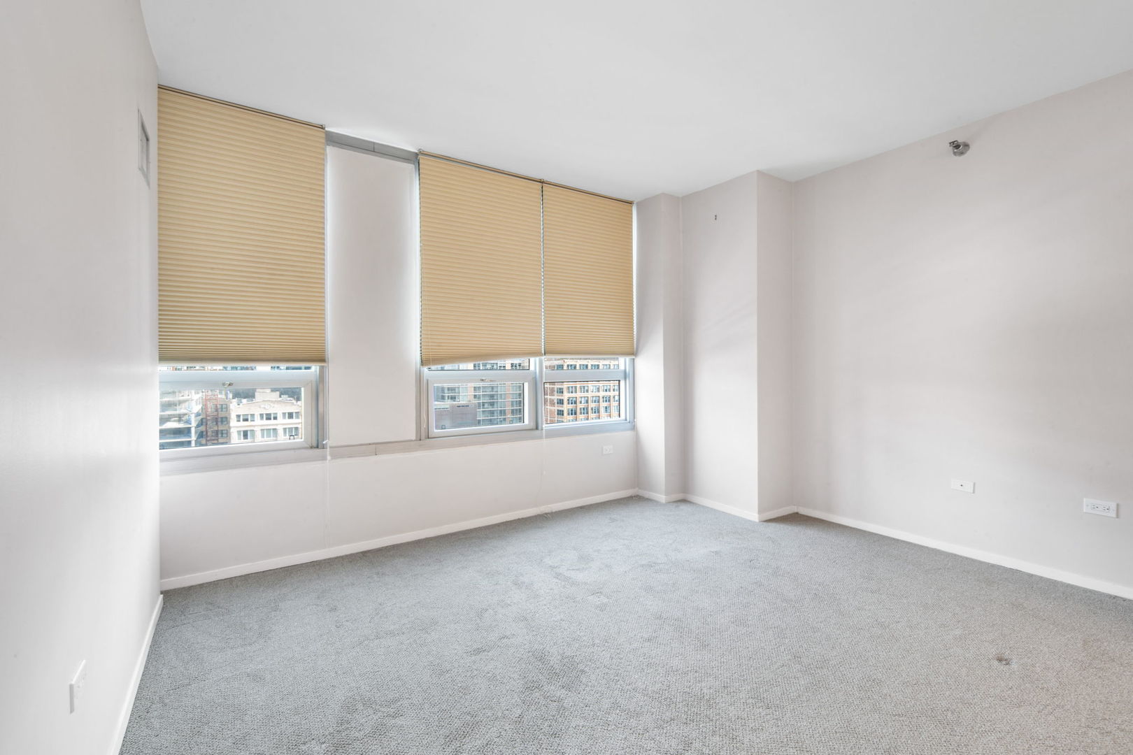 701 South Wells Street, Unit 1201 Chicago, IL 60607 - Photo 10 of 25