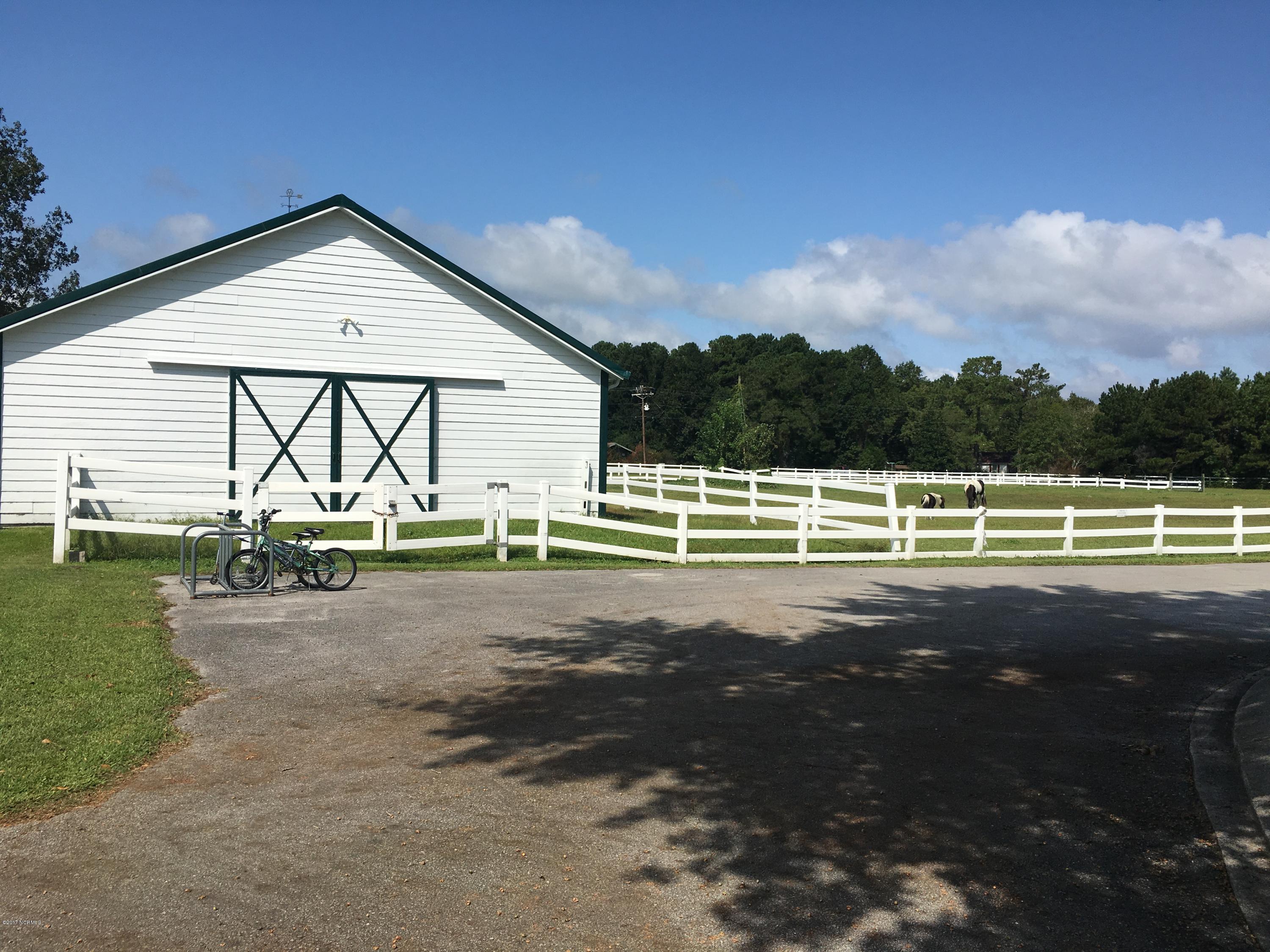 707 Riva Ridge Road Sneads Ferry, NC 28460 - Photo 5 of 8 stable