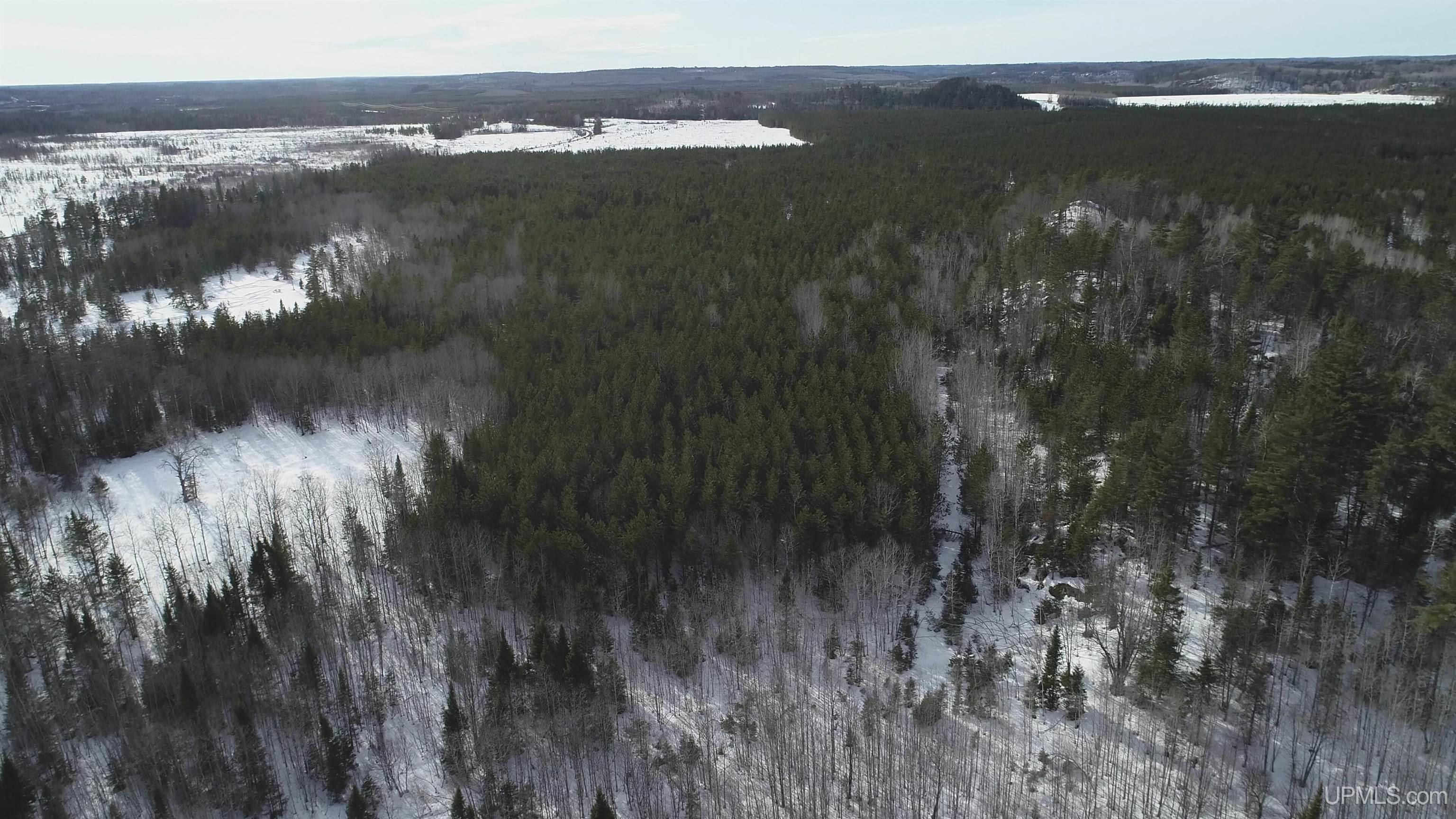 40-acres Off County Cv Road Champion, MI 49814 - Photo 27 of 45