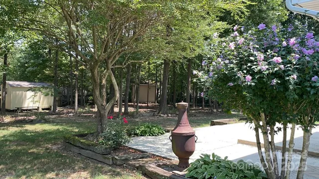 a view of a garden with pathway