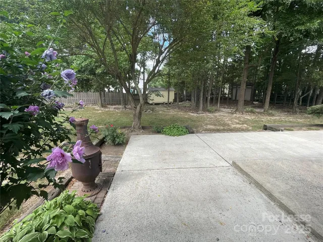 a view of a garden with large trees