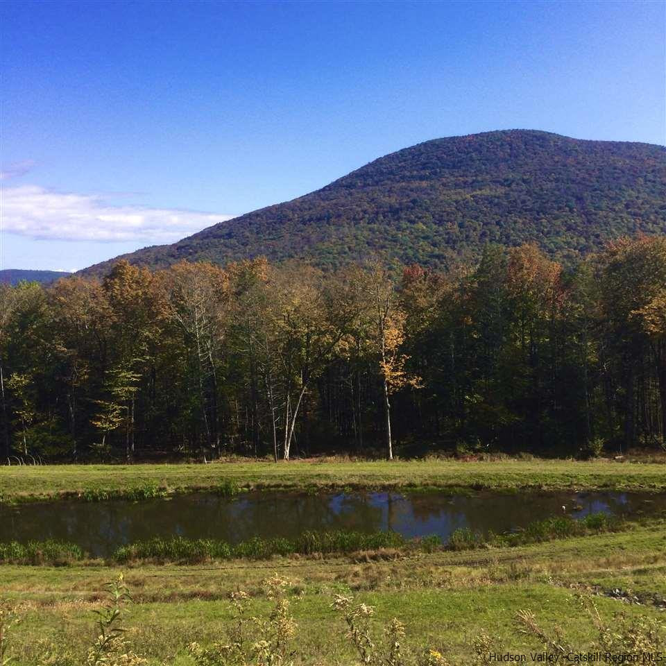 Tbd Jessop Road Willow, NY 12495 - Photo 14 of 19 Photo 15