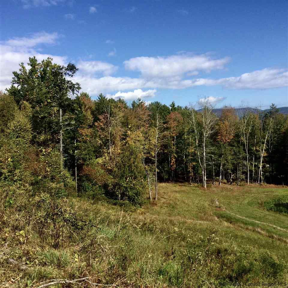 Tbd Jessop Road Willow, NY 12495 - Photo 15 of 19 Photo 16