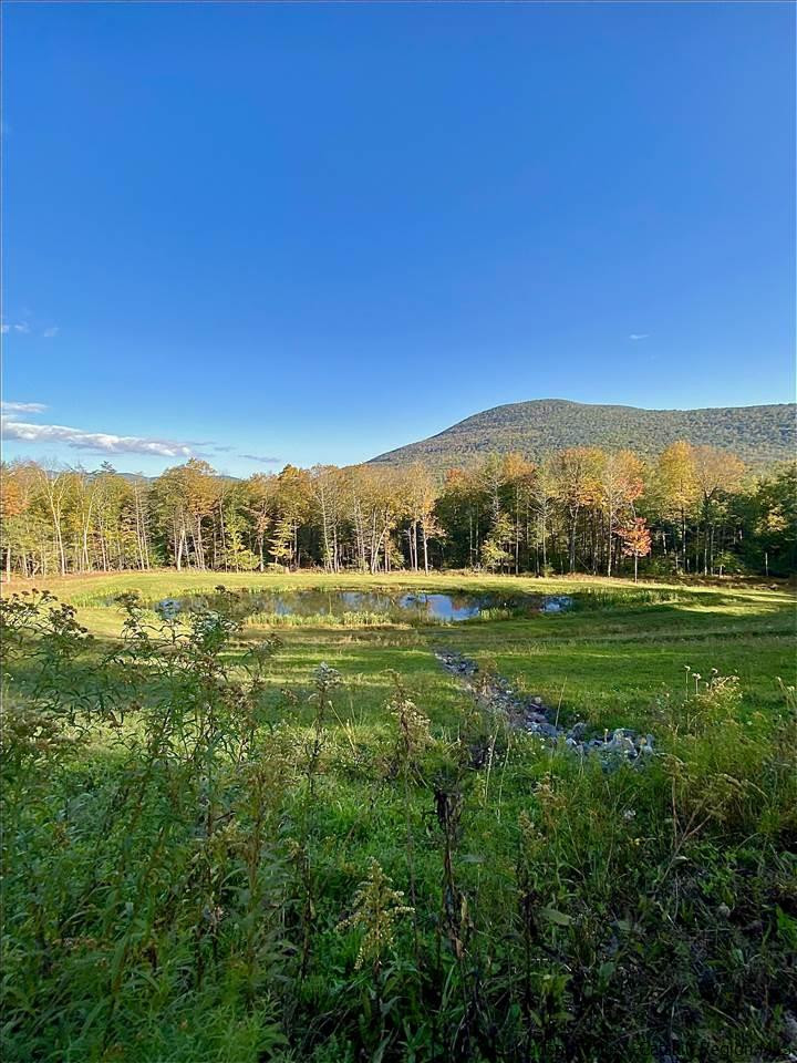 Tbd Jessop Road Willow, NY 12495 - Photo 3 of 19 Photo 3