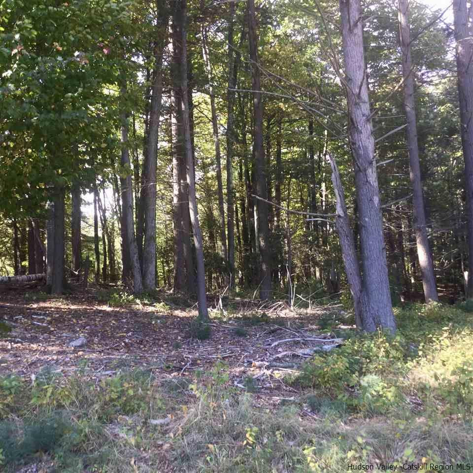 Tbd Jessop Road Willow, NY 12495 - Photo 10 of 19 Photo 11