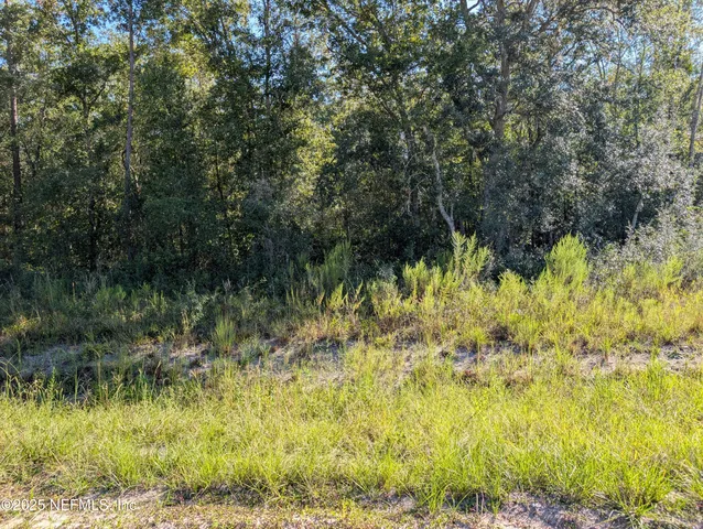 a view of a lake with a yard