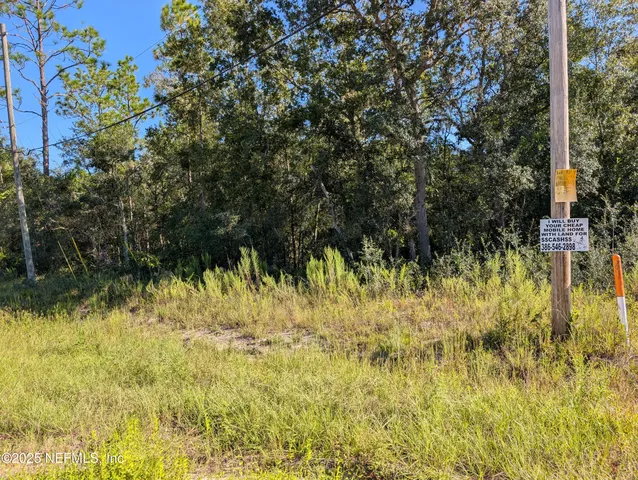 a view of swimming pool of the house